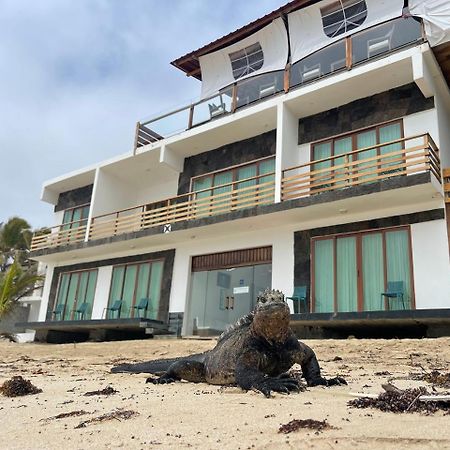 Cormorant Beach House Bed & Breakfast Пуерто Виламил Екстериор снимка