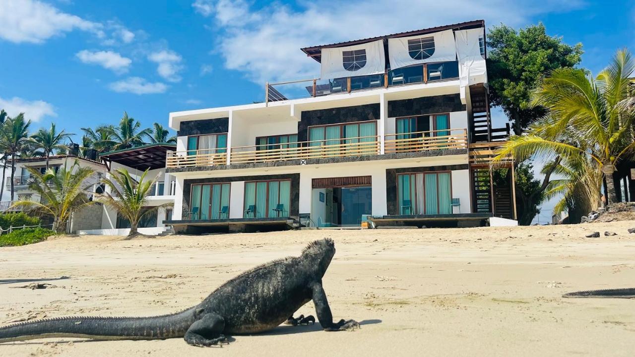 Cormorant Beach House Bed & Breakfast Пуерто Виламил Екстериор снимка